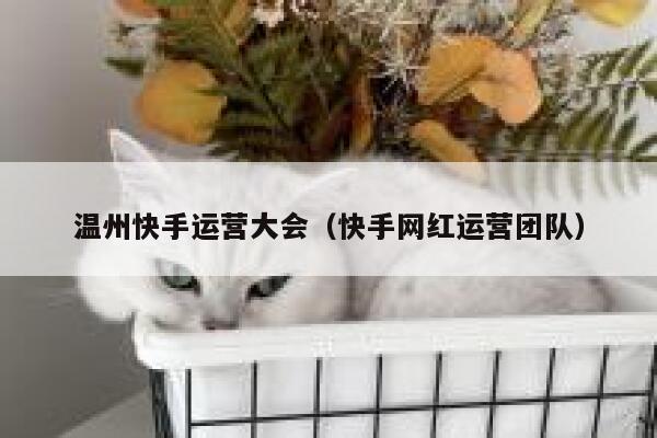 温州快手运营大会（快手网红运营团队）