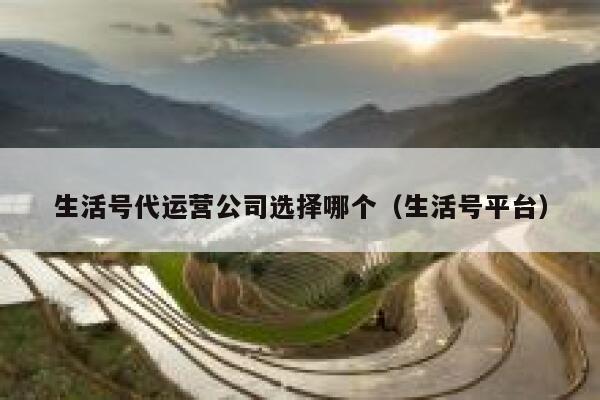 生活号代运营公司选择哪个（生活号平台）