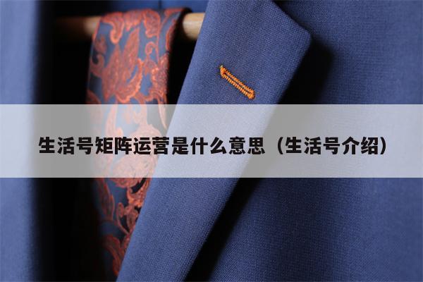 生活号矩阵运营是什么意思（生活号介绍）