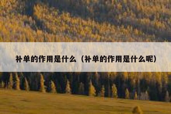 补单的作用是什么（补单的作用是什么呢）