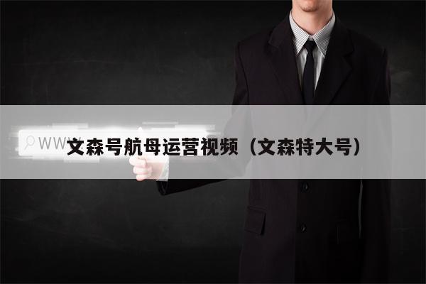 文森号航母运营视频（文森特大号）