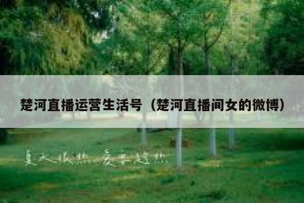 楚河直播运营生活号（楚河直播间女的微博）