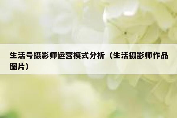 生活号摄影师运营模式分析（生活摄影师作品图片）