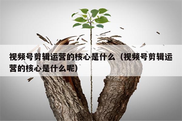 视频号剪辑运营的核心是什么（视频号剪辑运营的核心是什么呢）