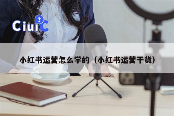 小红书运营怎么学的（小红书运营干货）