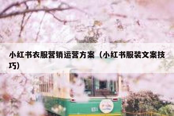 小红书衣服营销运营方案（小红书服装文案技巧）