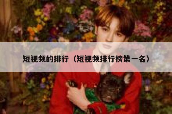 短视频的排行（短视频排行榜第一名）