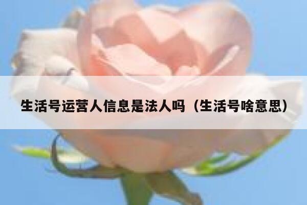 生活号运营人信息是法人吗（生活号啥意思）