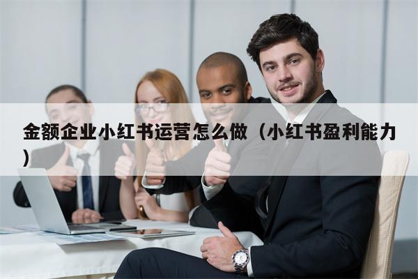 金额企业小红书运营怎么做（小红书盈利能力）