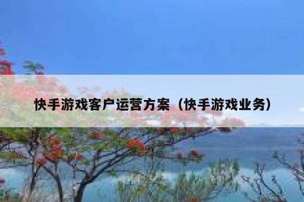 快手游戏客户运营方案（快手游戏业务）