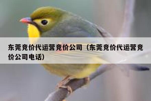 东莞竞价代运营竞价公司（东莞竞价代运营竞价公司电话）