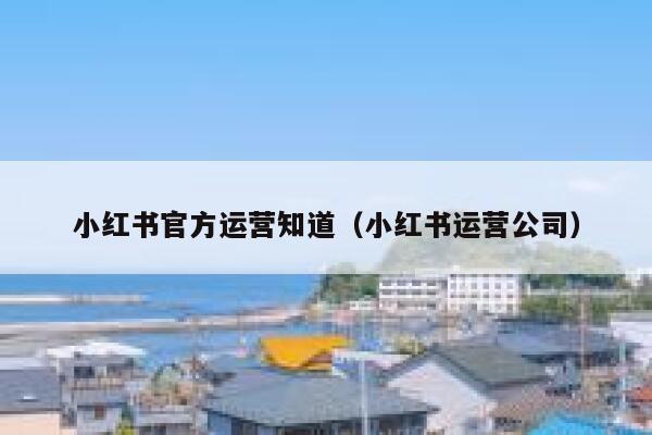 小红书官方运营知道（小红书运营公司）