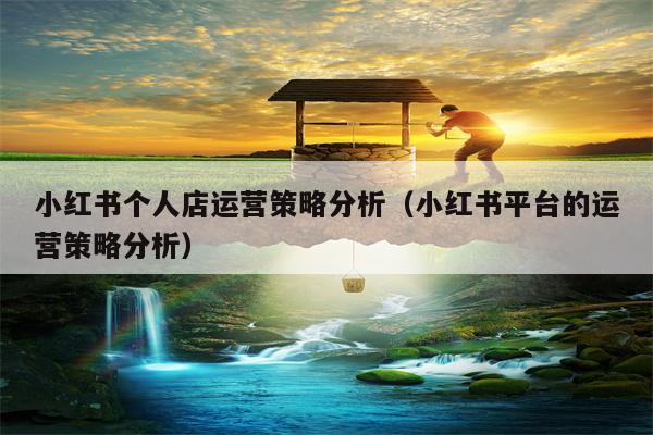 小红书个人店运营策略分析（小红书平台的运营策略分析）