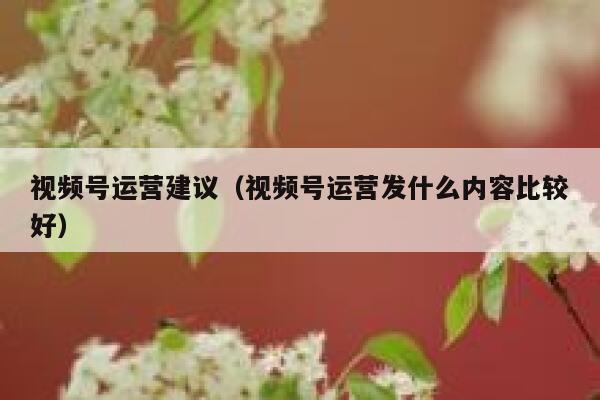 视频号运营建议（视频号运营发什么内容比较好）