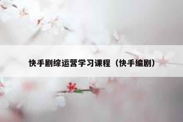快手剧综运营学习课程（快手编剧）