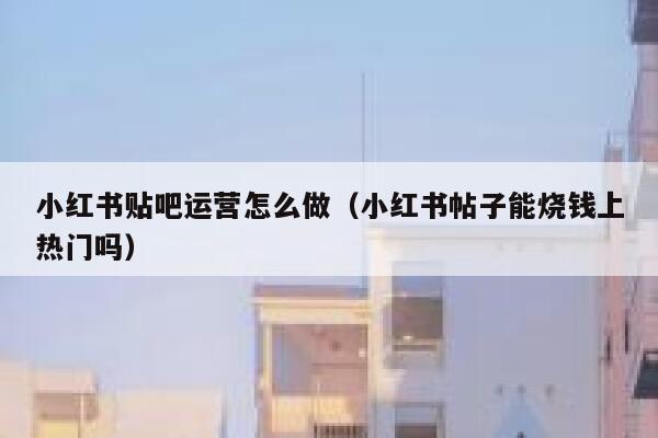 小红书贴吧运营怎么做（小红书帖子能烧钱上热门吗）