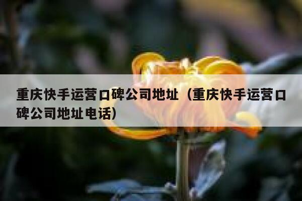 重庆快手运营口碑公司地址（重庆快手运营口碑公司地址电话）