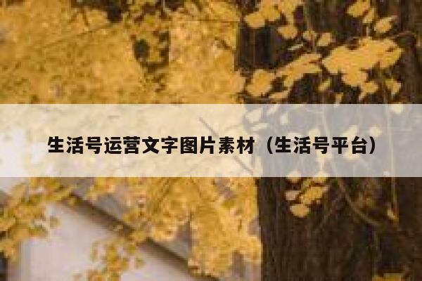 生活号运营文字图片素材（生活号平台）
