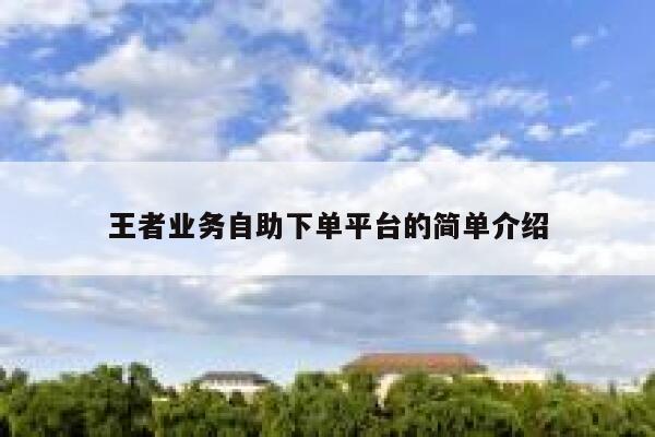 王者业务自助下单平台的简单介绍