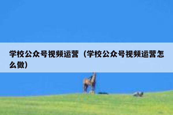 学校公众号视频运营（学校公众号视频运营怎么做）