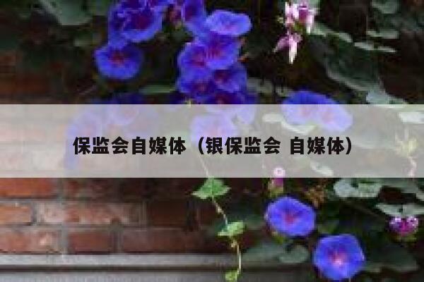 保监会自媒体（银保监会 自媒体）