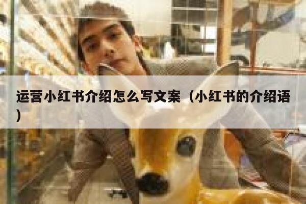 运营小红书介绍怎么写文案（小红书的介绍语）