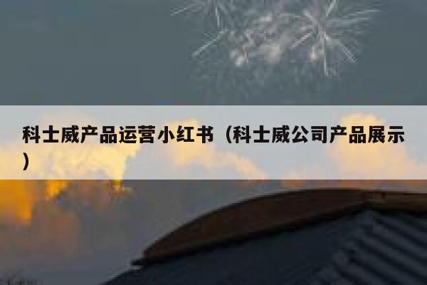 科士威产品运营小红书（科士威公司产品展示）
