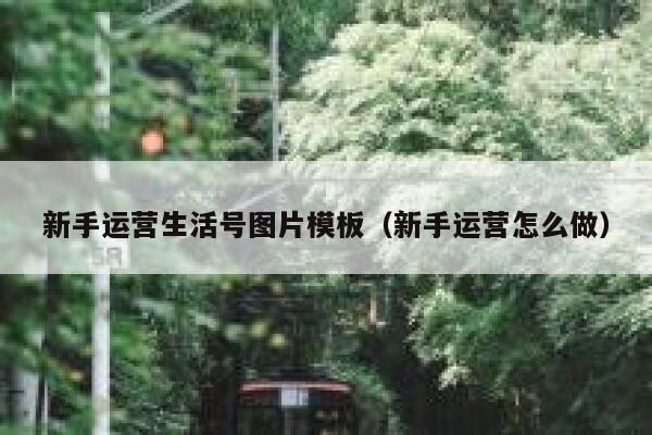 新手运营生活号图片模板（新手运营怎么做）