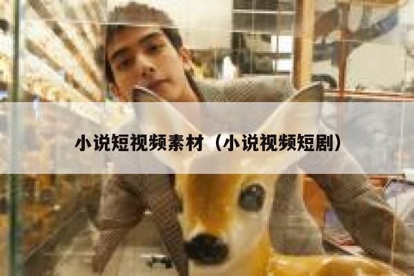 小说短视频素材（小说视频短剧）