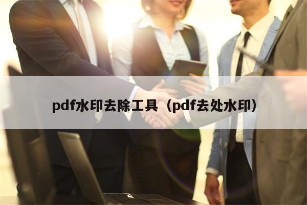 pdf水印去除工具（pdf去处水印）
