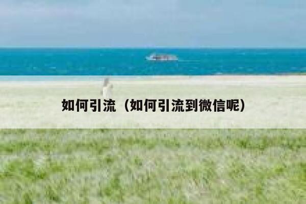 如何引流（如何引流到微信呢）
