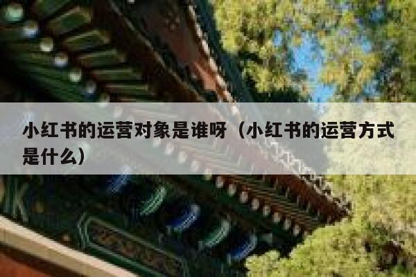小红书的运营对象是谁呀（小红书的运营方式是什么）