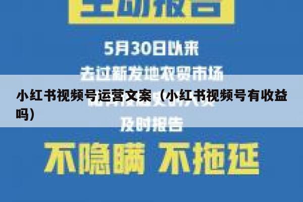 小红书视频号运营文案（小红书视频号有收益吗）