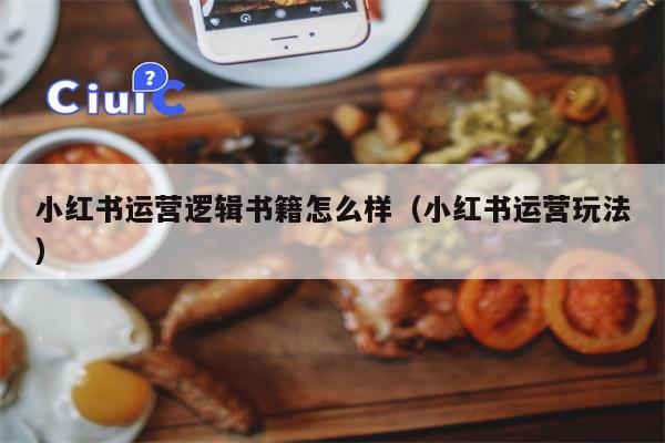 小红书运营逻辑书籍怎么样（小红书运营玩法）