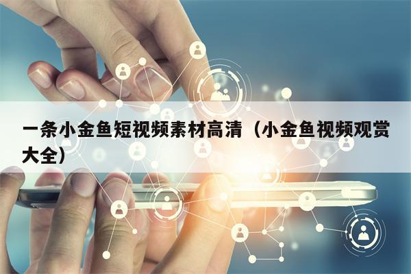 一条小金鱼短视频素材高清（小金鱼视频观赏大全）