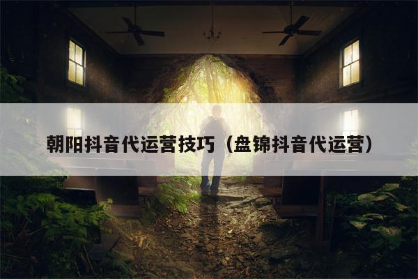 朝阳抖音代运营技巧（盘锦抖音代运营）