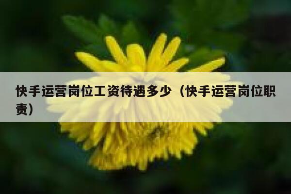 快手运营岗位工资待遇多少（快手运营岗位职责）