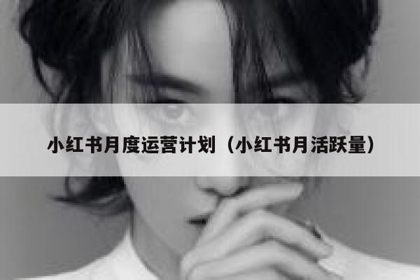 小红书月度运营计划（小红书月活跃量）
