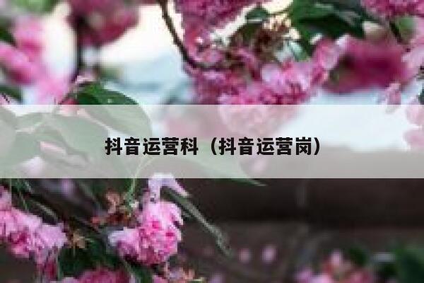 抖音运营科（抖音运营岗）