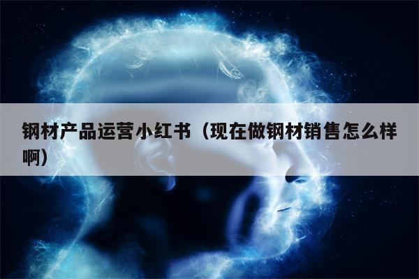 钢材产品运营小红书（现在做钢材销售怎么样啊）