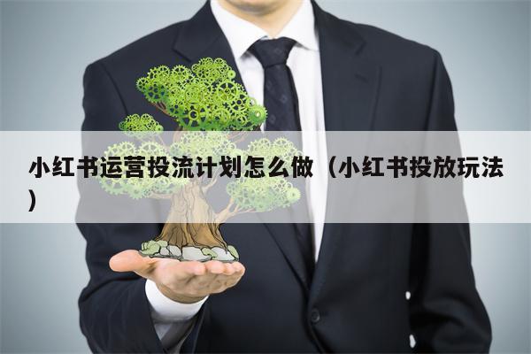 小红书运营投流计划怎么做（小红书投放玩法）