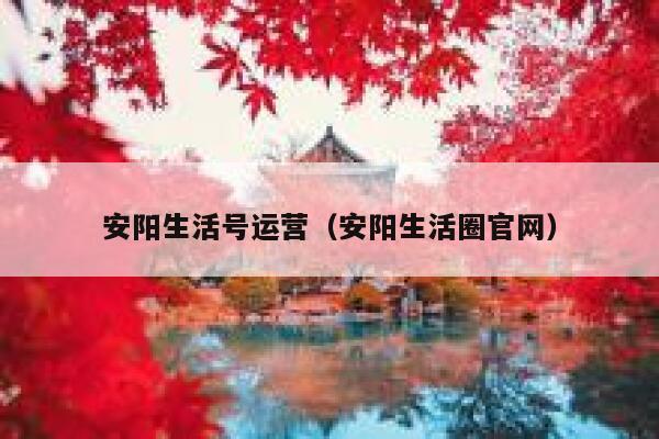 安阳生活号运营（安阳生活圈官网）