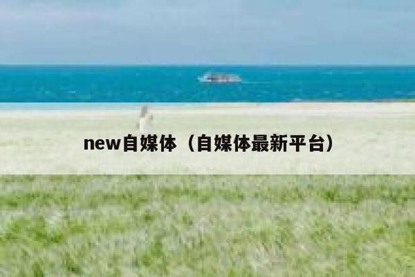new自媒体（自媒体最新平台）
