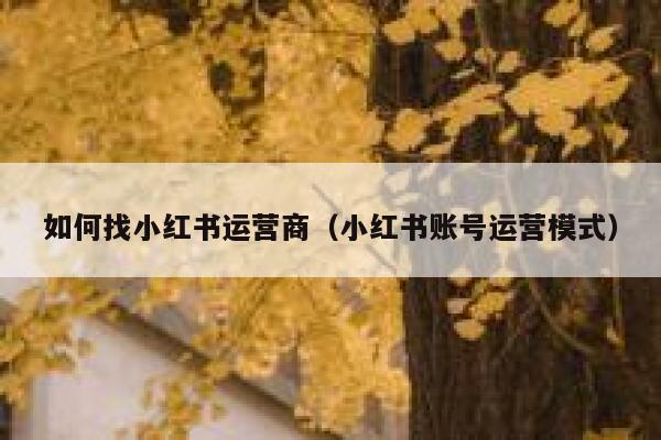 如何找小红书运营商（小红书账号运营模式）