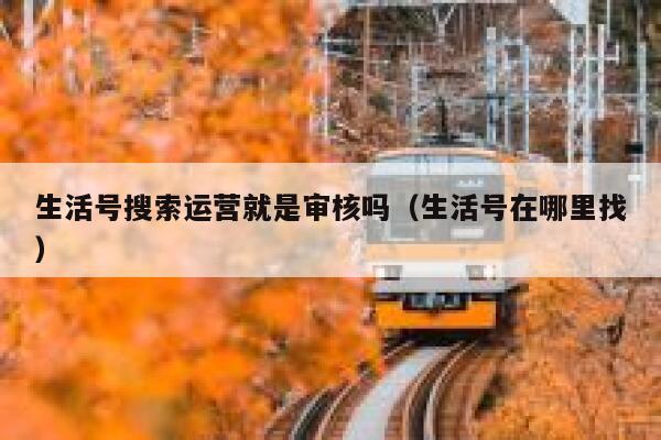 生活号搜索运营就是审核吗（生活号在哪里找）