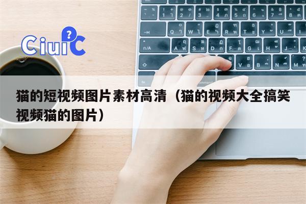 猫的短视频图片素材高清（猫的视频大全搞笑视频猫的图片）