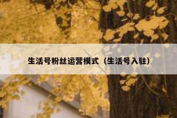 生活号粉丝运营模式（生活号入驻）