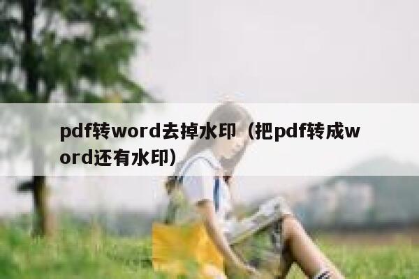 pdf转word去掉水印（把pdf转成word还有水印）