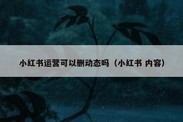 小红书运营可以删动态吗（小红书 内容）