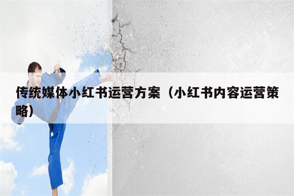 传统媒体小红书运营方案（小红书内容运营策略）